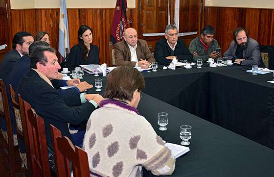 La ministra Calletti informó al Senado sobre acciones de prevención en violencia de género
