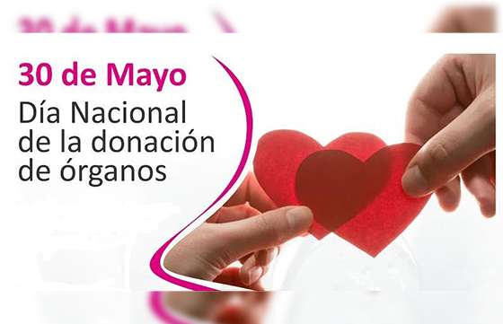 Se reúne el Consejo Regional de Trasplante del NOA