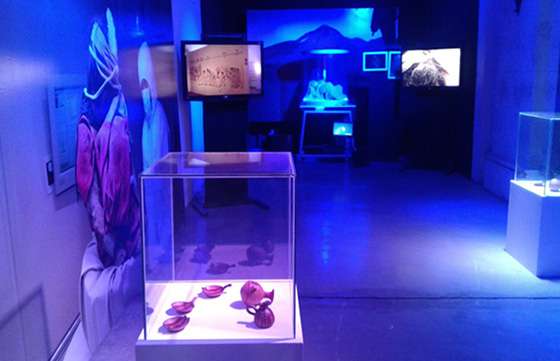 El Museo de Arqueología de Alta Montaña participó en Tecnópolis Federal