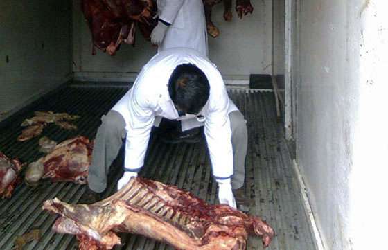 El Registro de Operadores decomisó en junio más de 400 kilos de carne