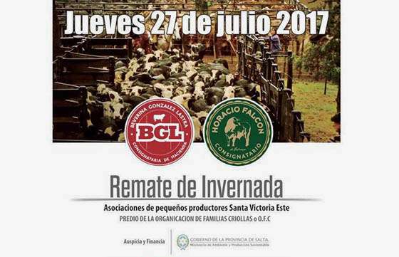 Pequeños productores de bovinos participarán en el Remate de Invernada en Santa Victoria Este