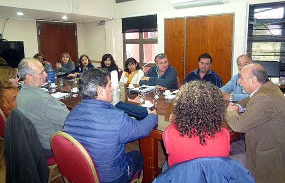 Salud Pública analiza con diversos sectores la factibilidad de producir aceite de cannabis para uso medicinal