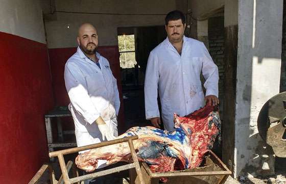 En julio decomisaron más de 800 kilos de carne procedente de la faena clandestina
