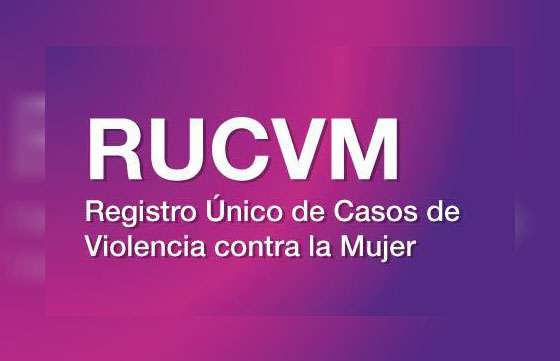 Estadísticas presentará el Registro Único de Casos de Violencia contra las Mujeres