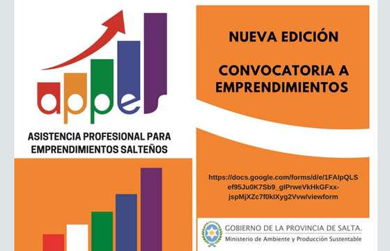 Convocatoria del Programa de Asistencia Profesional para emprendimientos salteños