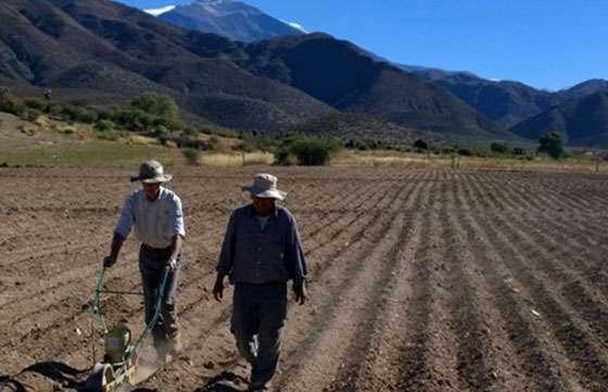 El Gobierno continúa capacitando y brindando asistencia a pequeños productores