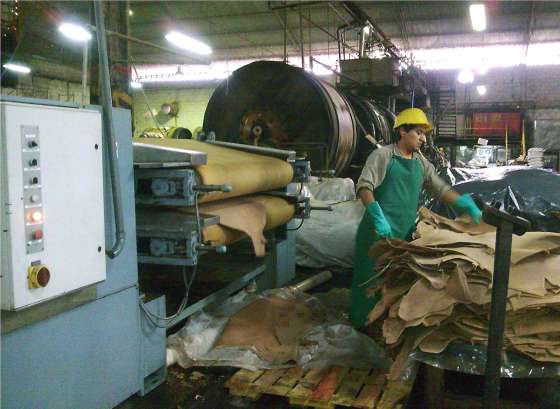 Primera auditoría para la certificación de empresas al sello de Ecoeficiencia   