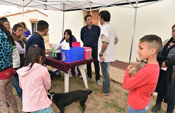 Orán: “Tu Casa Tu Perro” vacunó y desparasitó a 60 mascotas