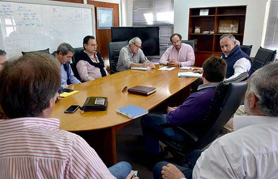Realizarán fumigaciones aéreas y terrestres para controlar las mangas de langostas