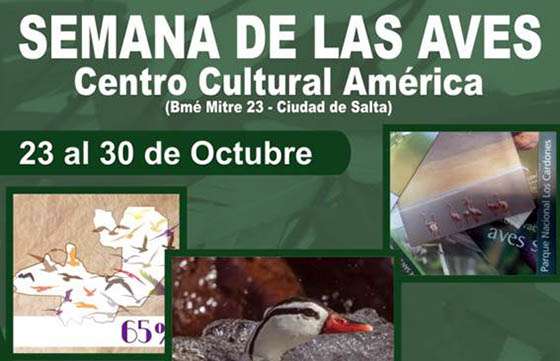 Hasta el 30 de octubre se expondrá Aves de Salta: Conservar, Valorar y Proteger
