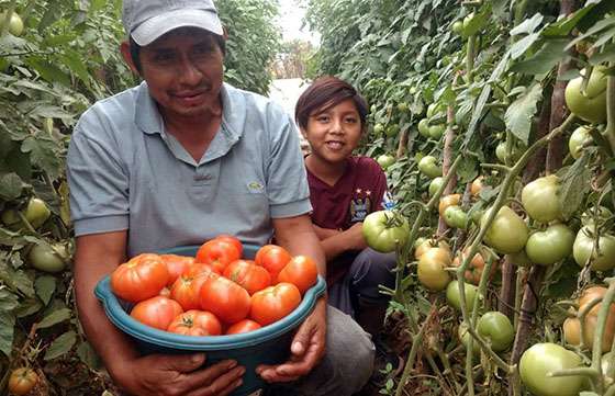 Familias del Chaco salteño producen para vender frutas y verduras en sus comunidades