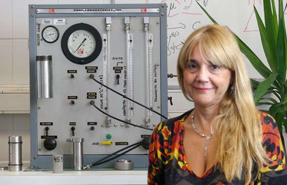 Salteña investigadora del INIQUI recibirá mención de honor al valor científico