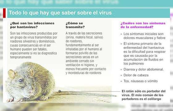 En lo que va del año se registraron 12 casos de hantavirus en Salta