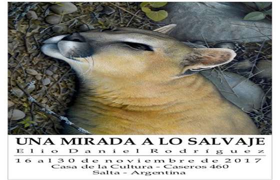 Exposición de pintura de naturaleza en la Casa de la Cultura