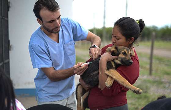 Tu Casa Tu Perro vacunó gratuitamente más de treinta perros y gatos en Atocha