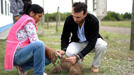 El Programa Tu Casa Tu Perro realiza hoy una campaña de vacunación antirrábica gratuita en barrio El Huaico