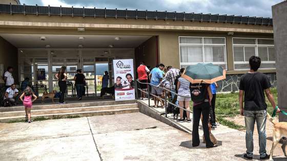 Gran concurrencia en la jornada de vacunación antirrábica en El Huaico