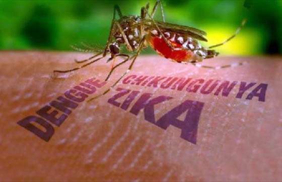 Solicitan a la población reforzar las medidas de prevención para zika, dengue y chikungunya