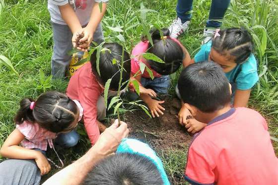 En Rosario de Lerma, niños aprendieron sobre la importancia del cuidado de los árboles