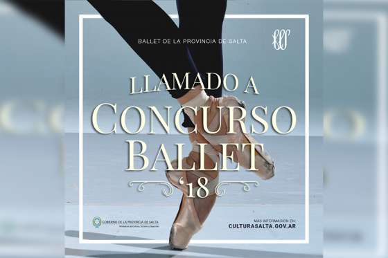 El Ballet de la Provincia convoca a concurso para cubrir cargos