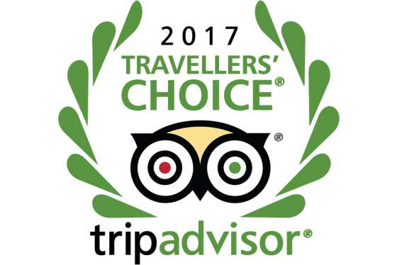 Para TripAdvisor, el MAAM es el segundo museo más popular de la Argentina