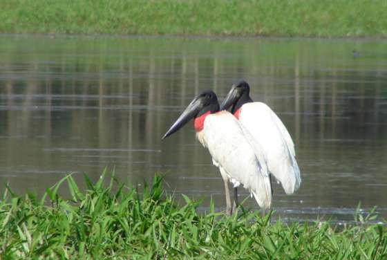 El Gobierno de la Provincia crea la Agencia de Áreas Protegidas 
