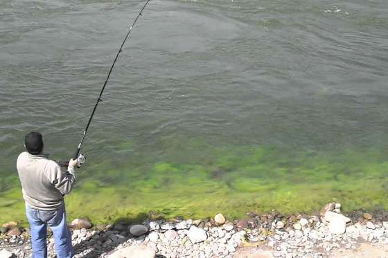Inicia la temporada de pesca en el Juramento