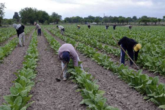 El Secretario de Asuntos Agrarios analizó la actualidad productiva de Rosario de Lerma