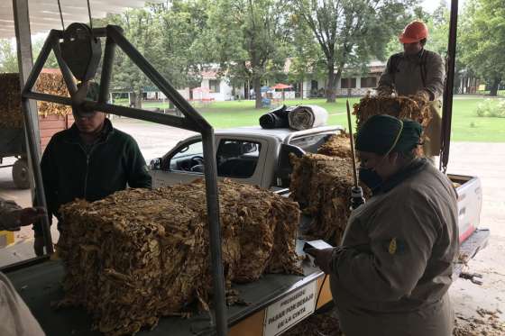 Activa mediación del Gobierno para lograr el acuerdo salarial de los obreros del tabaco