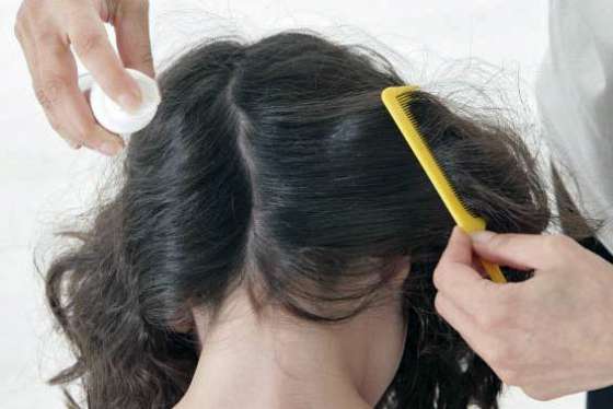 Vuelta a clases: cómo evitar la pediculosis