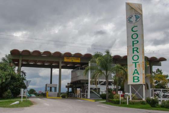 El Gobierno entregará financiamiento a productores que trabajan en reconversión productiva