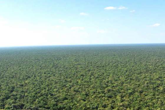Primera reunión anual del Consejo Asesor de ordenamiento territorial de bosques nativos