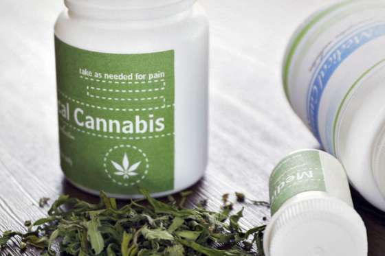 Funcionarios del Poder Judicial recibirán hoy información sobre uso medicinal del cannabis