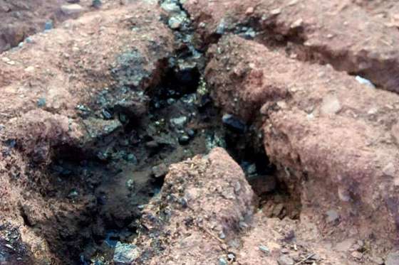Guardaparques alertaron sobre una contaminación peligrosa en Área Protegida