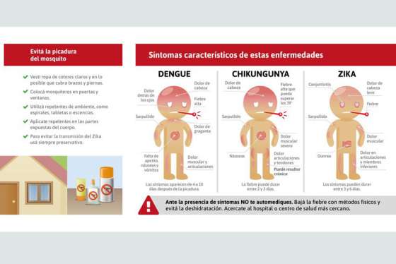 Salud Pública solicita extremar las medidas para prevenir enfermedades transmitidas por mosquitos