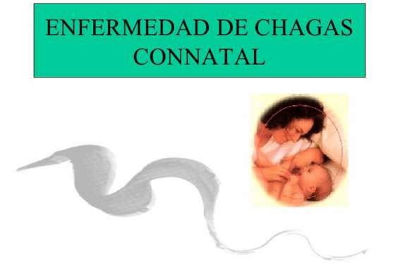 Continúa la vigilancia intensificada de Chagas en zonas endémicas de la provincia