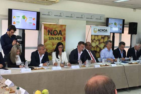 La Mesa de Competitividad Citrícola analizó temas de formalización sanitaria, laboral, tributaria y apertura de mercados