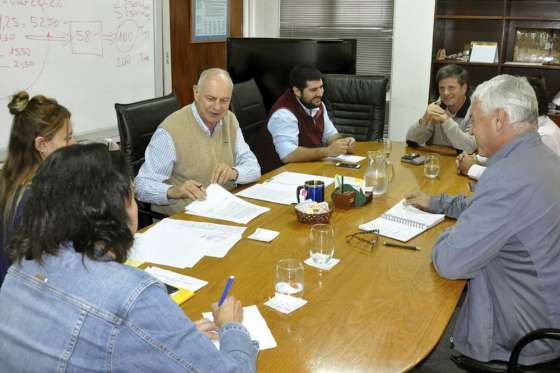 El Gobierno prepara acciones para incentivar el consumo de miel en Salta