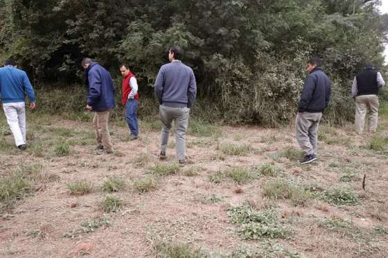Se realizó el Encuentro Trinacional de Monitoreo de la Langosta Sudamericana