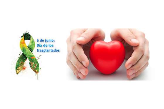 Hoy se celebra el Día Mundial del Paciente Trasplantado