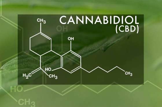 El hospital Señor del Milagro realizará un ateneo sobre uso medicinal del cannabis
