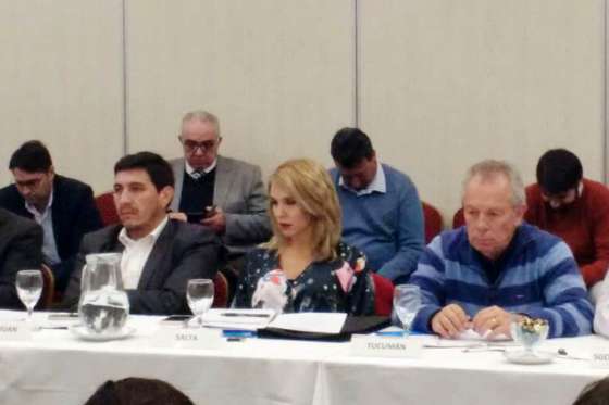 Salta participó en la asamblea extraordinaria del Consejo del Medio Ambiente
