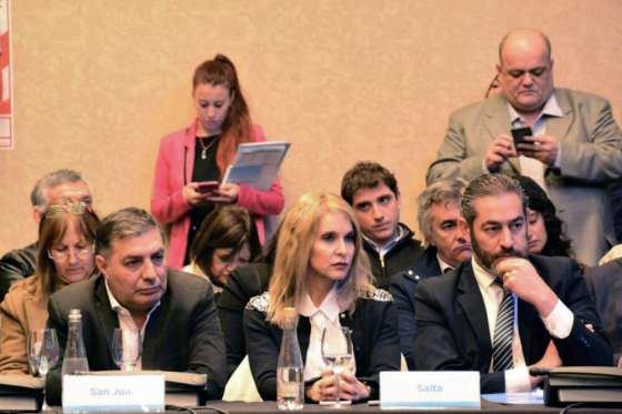 Bibini participó en la reunión plenaria del Consejo Federal del Trabajo