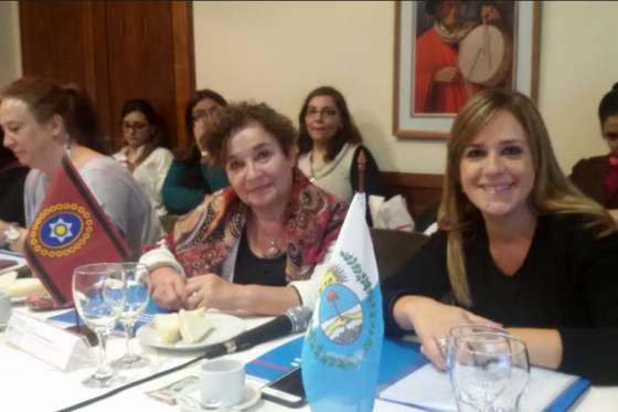 Salta participó en el Consejo Federal de Niñez, Adolescencia y Familia