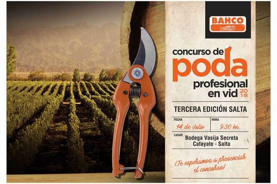 Cafayate será sede de la nueva edición del concurso de poda profesional en vid