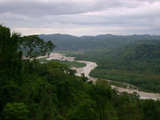 La Provincia y comunidades de la ruta 86 evaluaron el manejo sustentable de bosques