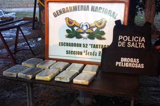 En pocos días, Salta dio efectivos golpes al narcotráfico en la provincia