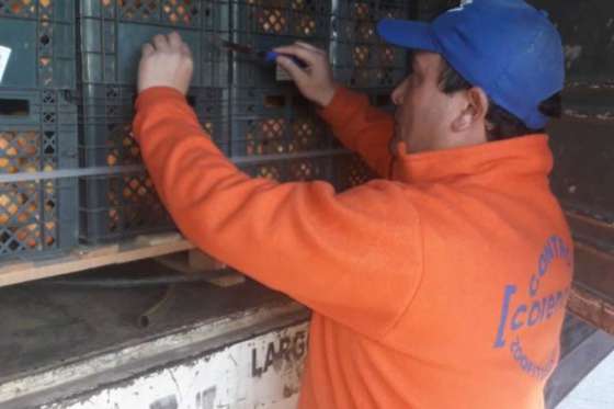 Continúan los decomisos de cítricos y plantas en los puestos de control de la provincia