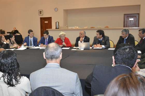 Intenso trabajo desarrollaron las Comisiones  del Comité de Integración