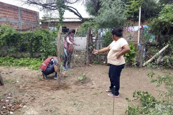 Incentivan la creación de huertas familiares en Tartagal